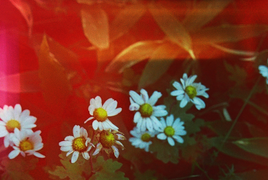 “CoSTORY Project ”、始動 - 7NaNatural